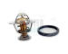 Termostat, chladivo HOFFER 8192836