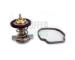 Termostat, chladivo HOFFER 8192837