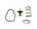 Termostat, chladivo HOFFER 8192842K
