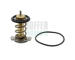 Termostat, chladivo HOFFER 8192957