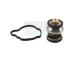 Termostat, chladivo HOFFER 8192972