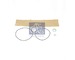 Sada tesneni, odstredivy cistic DT Spare Parts 1.31163