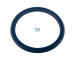 Těsnicí kroužek DT Spare Parts 2.32987