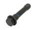 Šroub setrvačníku DT Spare Parts 3.11221