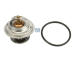 Termostat, chladivo DT Spare Parts 4.60668