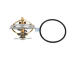 Termostat, chladivo DT Spare Parts 4.64801