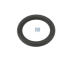 Těsnicí kroužek DT Spare Parts 5.41104