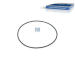 Tesniaci krúżok DT Spare Parts 5.62073