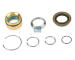 Opravna sada, naklapeci valec DT Spare Parts 5.96205