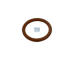 Tesnici krouzek DT Spare Parts 7.60165