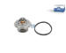Termostat, chladivo DT Spare Parts 7.60213