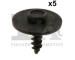 Skrutka FA1 10-70005.5