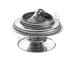 Termostat chladenia MOTORAD 553-88K