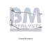 Filtr pevnych castic, vyfukovy system BM CATALYSTS BM11142