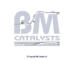 Výfuková trubka BM CATALYSTS BM50378