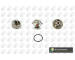Termostat, chladivo BGA CT5184K
