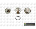 Termostat, chladivo BGA CT5275K