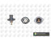 Termostat, chladivo BGA CT5301