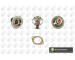 Termostat, chladivo BGA CT5343K