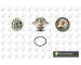 Termostat, chladivo BGA CT5357K