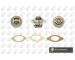 Termostat, chladivo BGA CT5485K