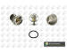 Termostat, chladivo BGA CT5575K