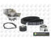 Vodní pumpa + sada ozubeného řemene BGA TB1420CPK-1
