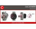 generátor CASCO CAL10109RS
