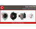 generátor CASCO CAL10147RS