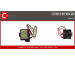 AGR-Ventil CASCO CVG73039GS