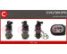 AGR-Ventil CASCO CVG73012PS