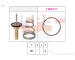 Termostat, chladivo EPS 1.879.978