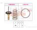 Termostat, chladivo EPS 1.880.823