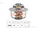 Termostat, chladivo EPS 1.880.953S
