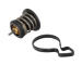 Termostat, chladivo CONTINENTAL 28.0200-4058.2