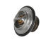 Termostat, chladivo CONTINENTAL 28.0200-4130.2
