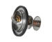 Termostat, chladivo CONTINENTAL 28.0200-4137.2