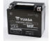 startovací baterie YUASA YTX12
