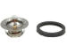 Termostat, chladivo THERMOTEC D2G005TT