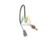 Lambda sonda MOTAQUIP LVOS1262