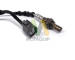 Lambda sonda MOTAQUIP LVOS1669