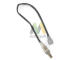 Lambda sonda MOTAQUIP LVOS1695