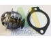 Termostat, chladivo MOTAQUIP LVTK194