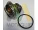 Termostat, chladivo MOTAQUIP LVTK209