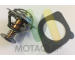 Termostat, chladivo MOTAQUIP LVTK225