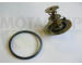 Termostat, chladivo MOTAQUIP VTK111