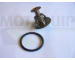Termostat, chladivo MOTAQUIP VTK113