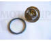 Termostat, chladivo MOTAQUIP VTK136