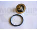 Termostat, chladivo MOTAQUIP VTK137