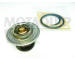 Termostat, chladivo MOTAQUIP VTK16